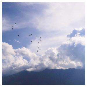 性瘾+高H+浓肉+黄H视频
