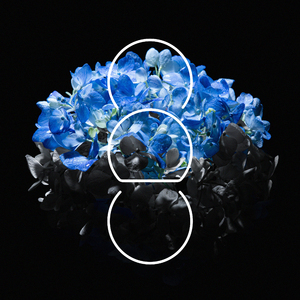 性瘾+高H+浓肉+黄H视频
