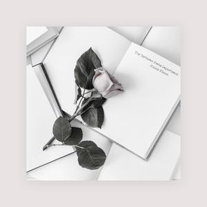 性瘾+高H+浓肉+黄H视频
